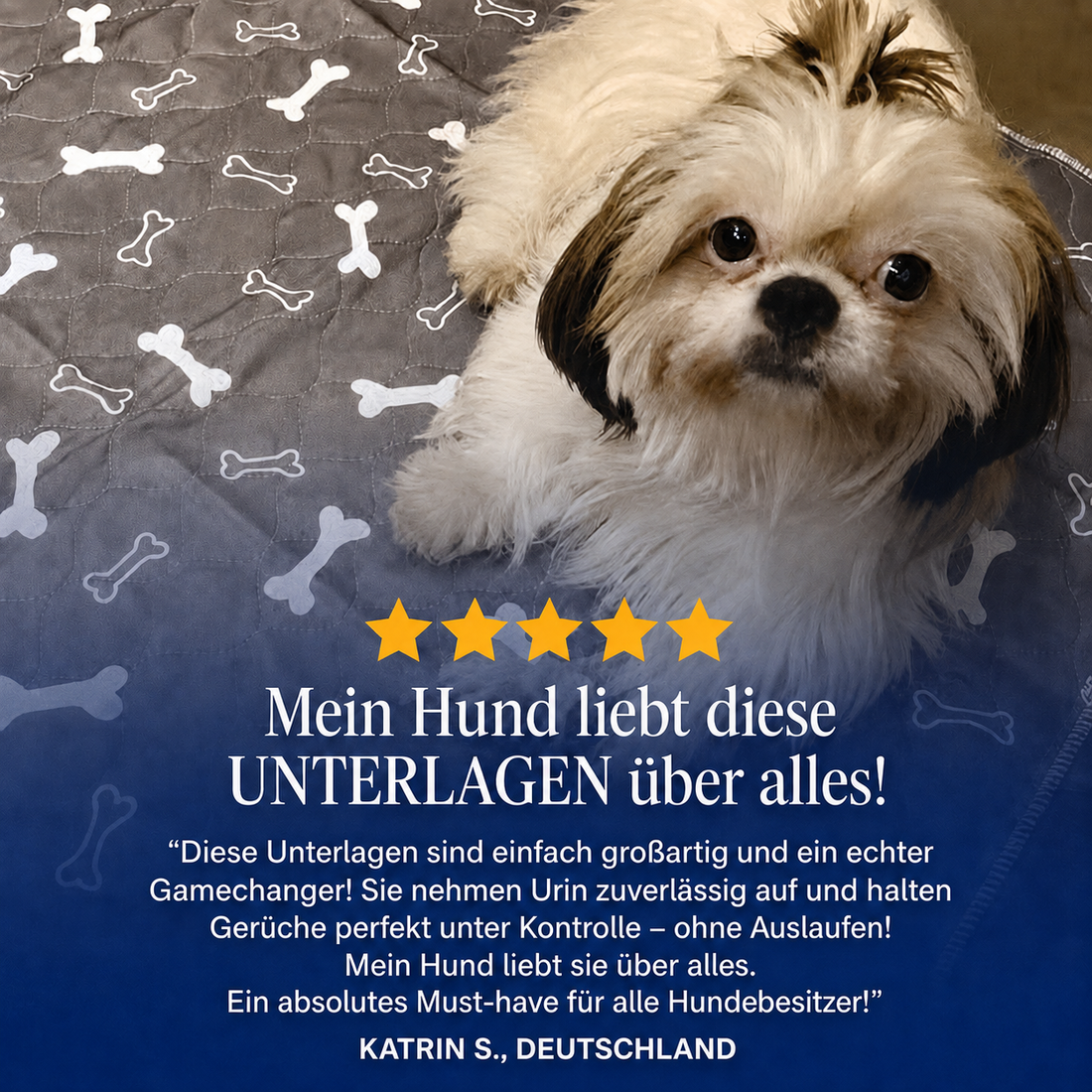 PurePad – Die letzte Hundematte, die du je brauchen wirst